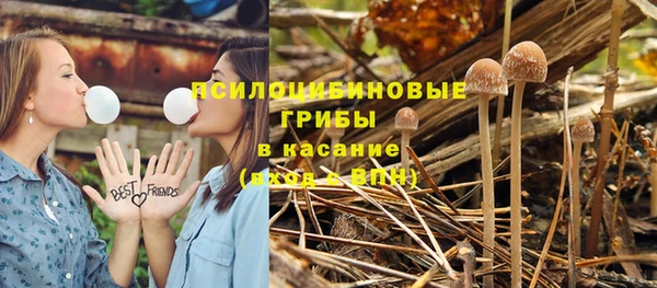 героин Богданович