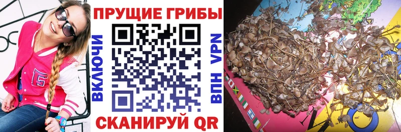 Псилоцибиновые грибы мухоморы  Среднеуральск 